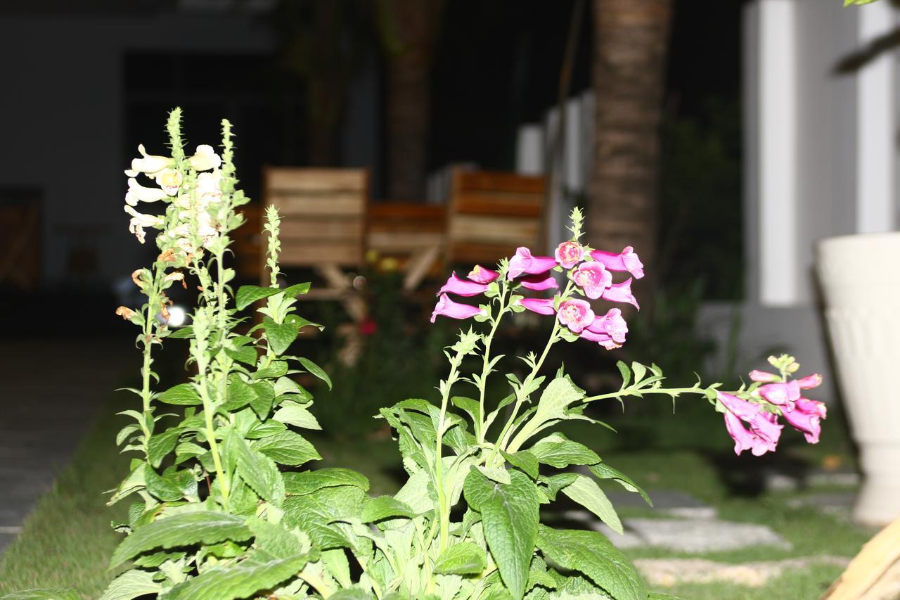 Ocean View Hotel Nha Trang Exterior foto